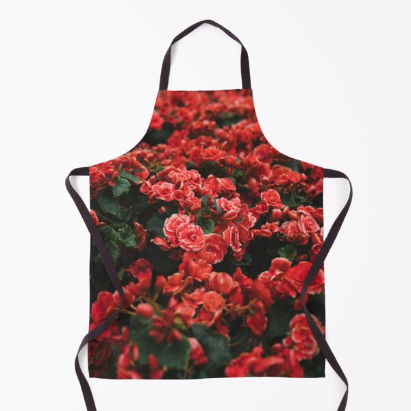 Item preview, Eletior Begonia designed and sold by Fairies Flower Garden.