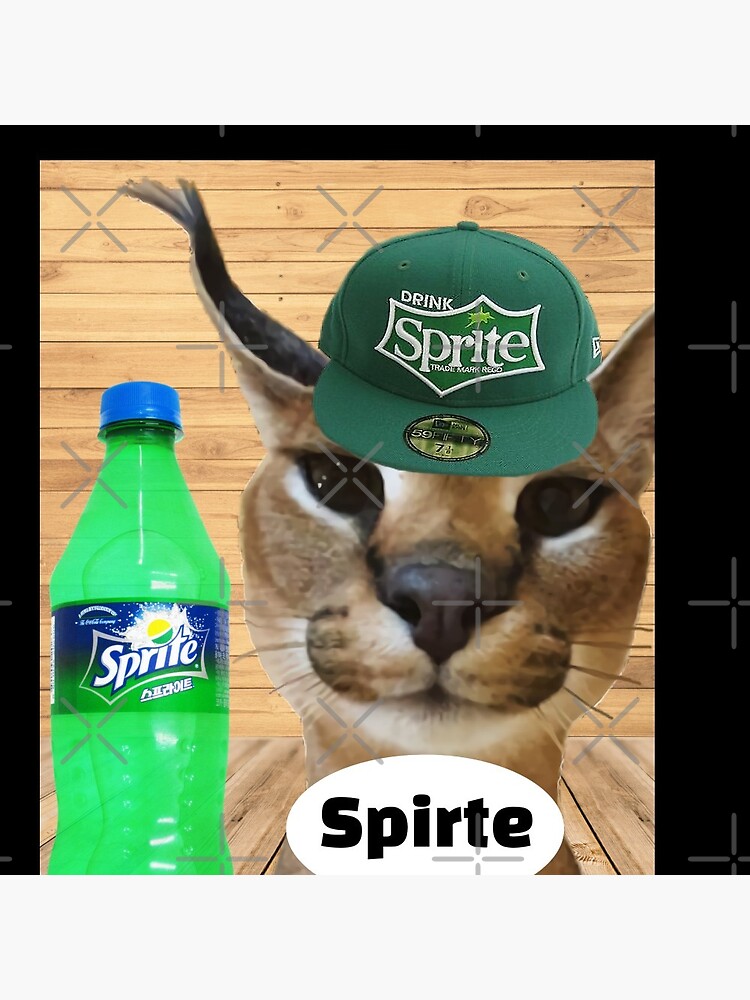 Spriter, Big Floppa