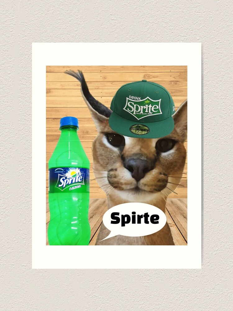 Drunk Floppa Cat Meme Photographic Print for Sale by fomodesigns