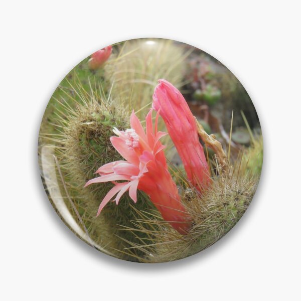 Item preview, Cleistocactus winteri flowers designed and sold by greentiger1.