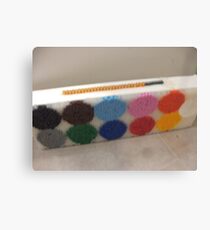 Beaded paint set Canvas Print