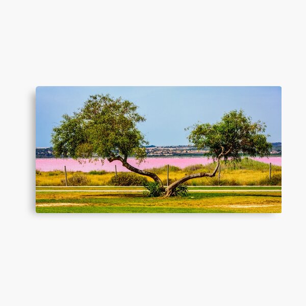 Two trunk tree and the pink lake Canvas Print