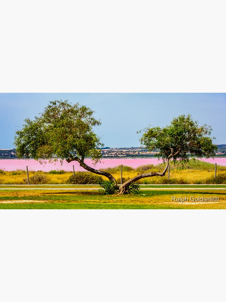 Two trunk tree and the pink lake by RalphGoldsmith