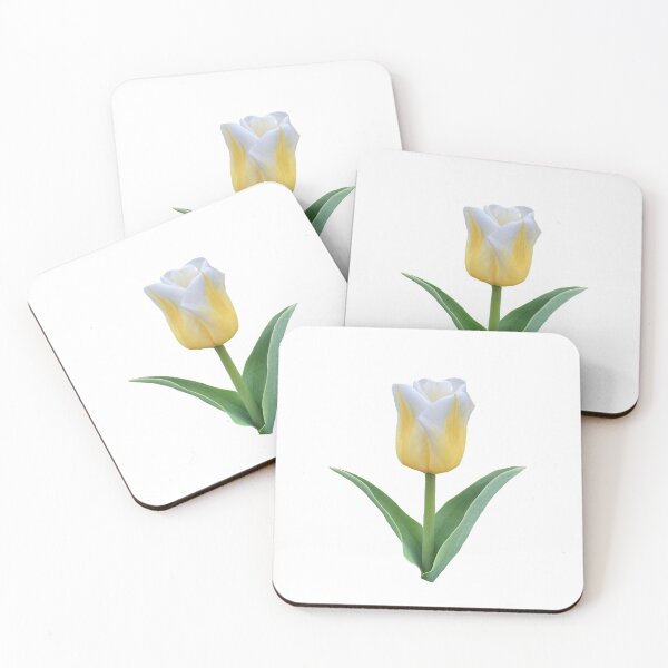 Item preview, White Yellow Tulip Photography, Flower photography sticker, Home Decor Flower Black Background designed and sold by Gulnaz Turdalieva.
