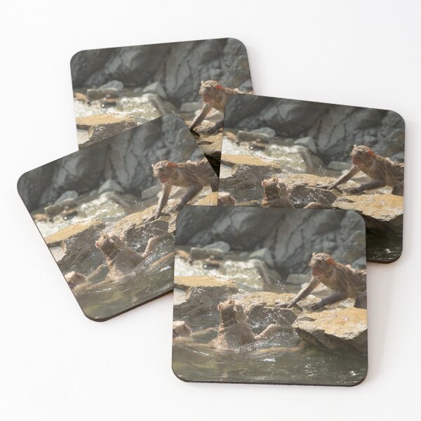 Item preview, Monkey Madness - Macaques in Hell's Valley designed and sold by Gerard Chillcott.