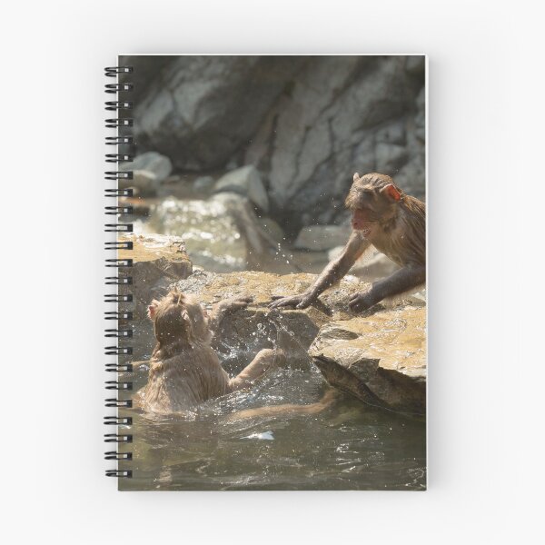 Item preview, Monkey Madness - Macaques in Hell's Valley designed and sold by Gerard Chillcott.