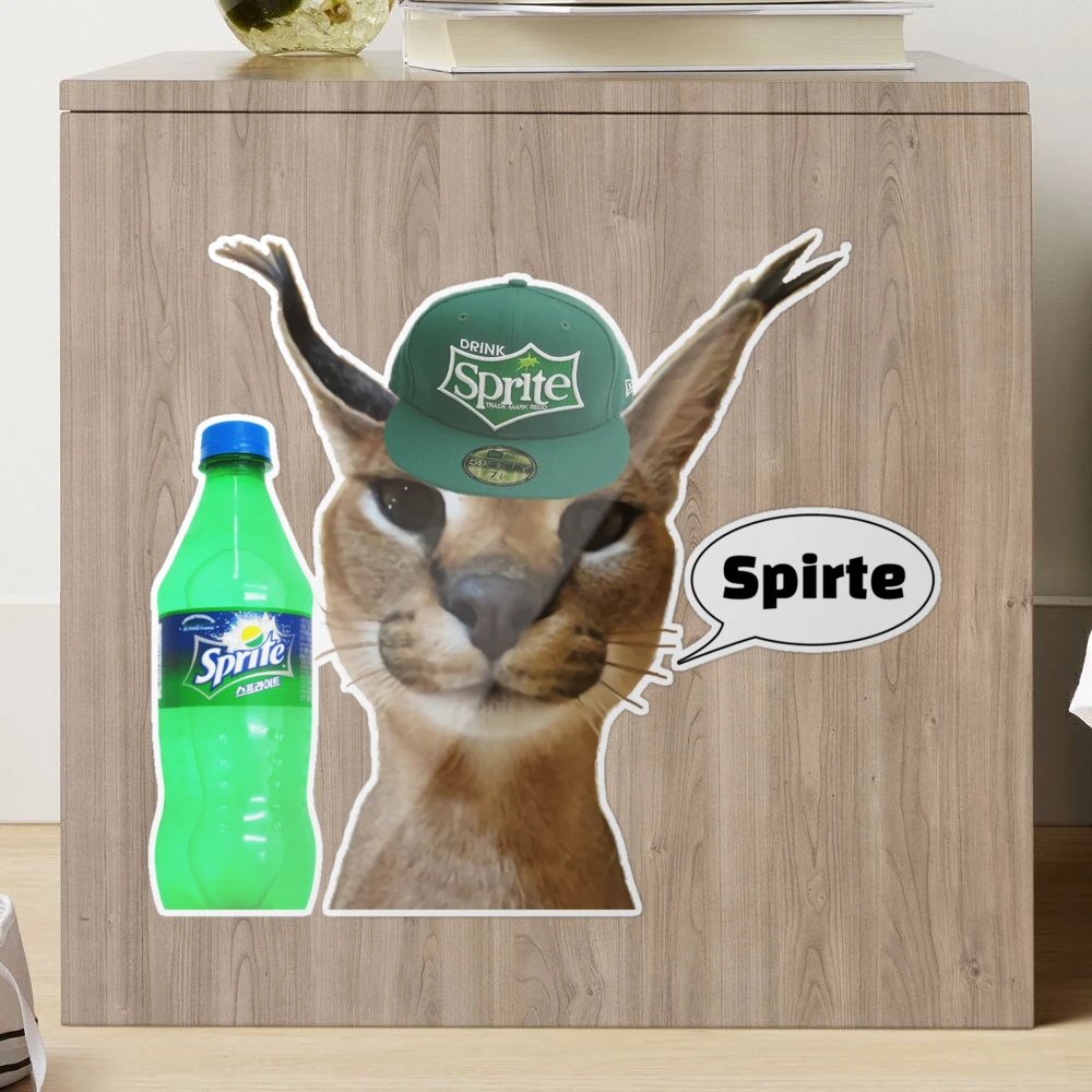 Engraçado caracal gato floppa meme porta da frente tapete de