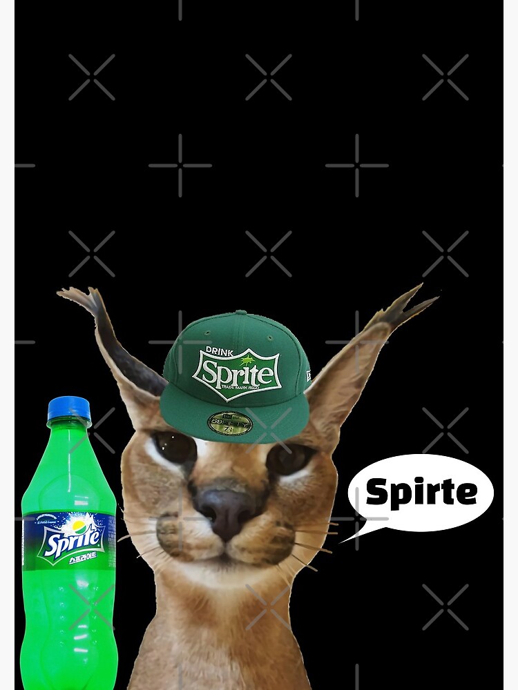 Drunk Floppa Cat Meme Sticker for Sale by fomodesigns