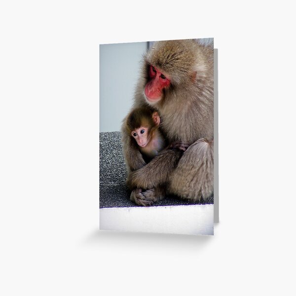 Monkey and Baby Greeting Card