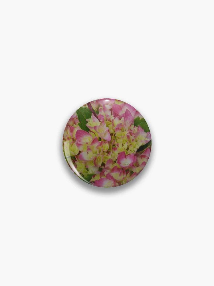 Thumbnail 1 of 3, Pin, Hydrangea First Spring Bloom designed and sold by Tdcc2000.