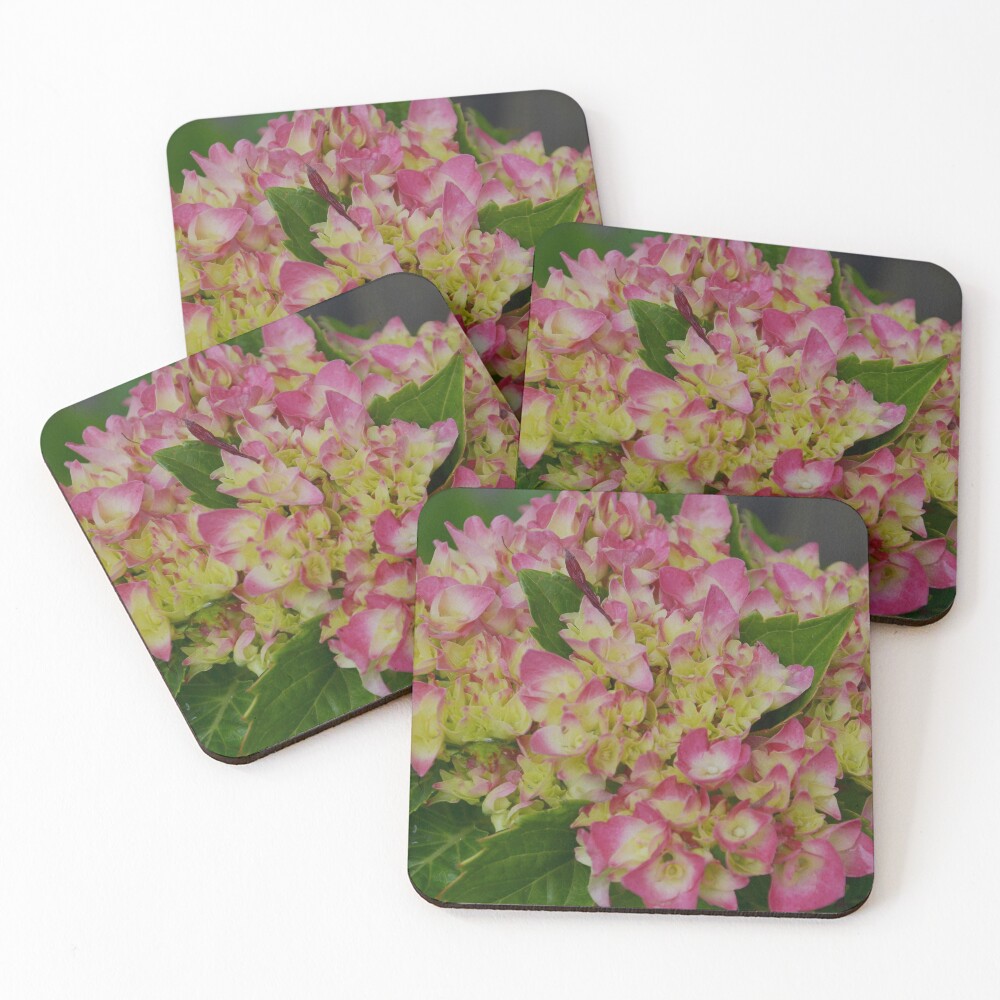 Item preview, Coasters (Set of 4) designed and sold by Tdcc2000.