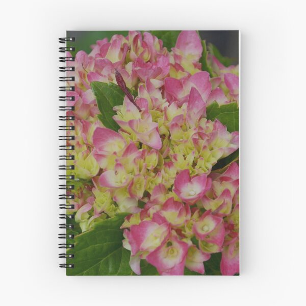 Item preview, Hydrangea First Spring Bloom designed and sold by Tdcc2000.