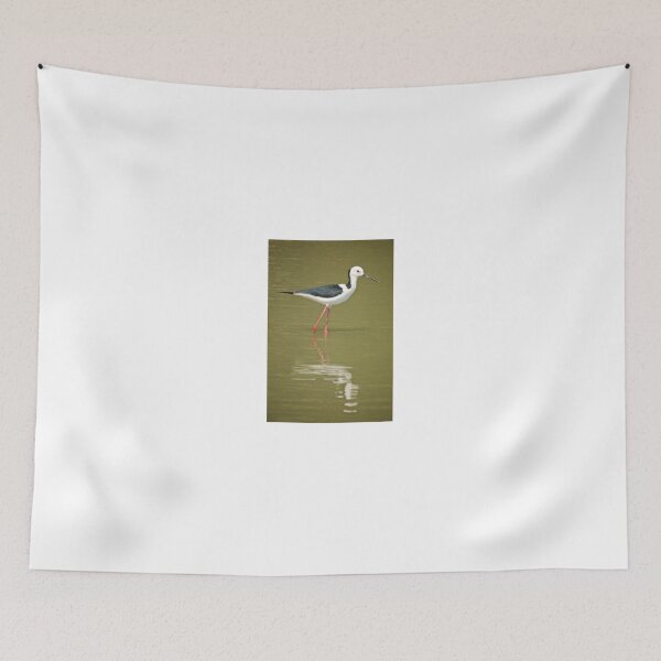 Item preview, Black Winged Stilt  designed and sold by D-GaP.