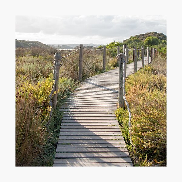 Item preview, Wooden path crossing grass field in summer designed and sold by Stanciuc.