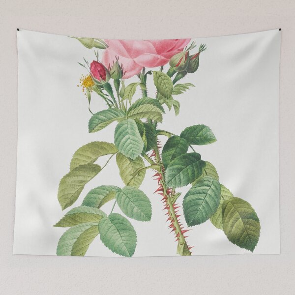 Item preview, Les Roses by Pierre-Joseph Redouté designed and sold by EsotericBotanic.