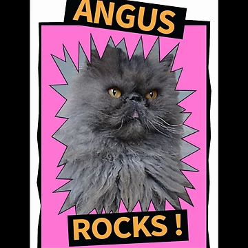 Vorschaubild zum Design Angus Rocks von SHOPEVREN
