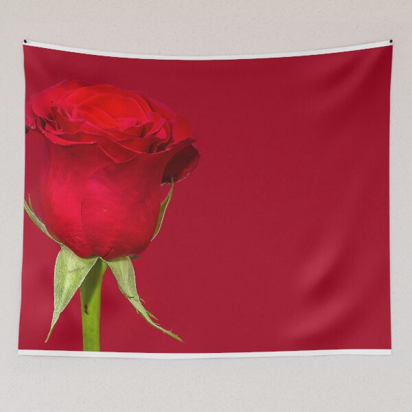 Item preview, Red Rose on Red Background. Macro shot of Red Rose designed and sold by Artsy Boulevard.