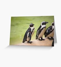 Captain's armband Greeting Card