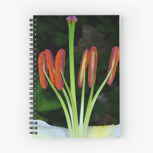 Item preview, Stamens. designed and sold by relayer51.