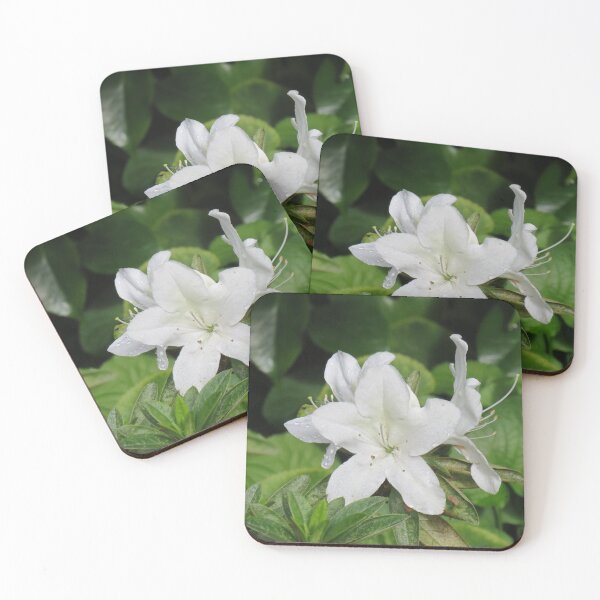 Item preview, White azalea flowers designed and sold by greentiger1.