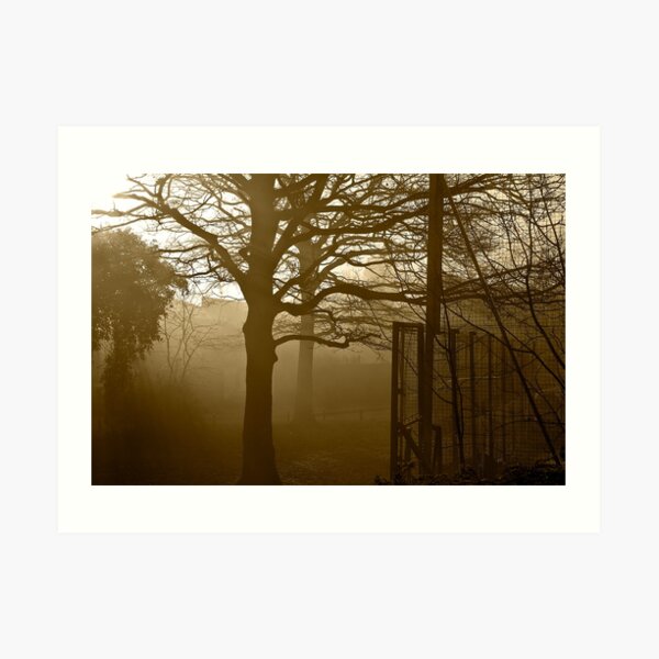 Moody morning Art Print