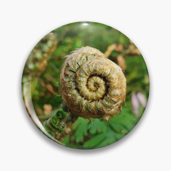 Item preview, Forest Spiral designed and sold by soulestial.