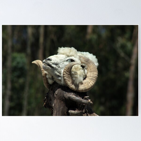 Item preview, Sheep Head on a Stick designed and sold by rhamm.