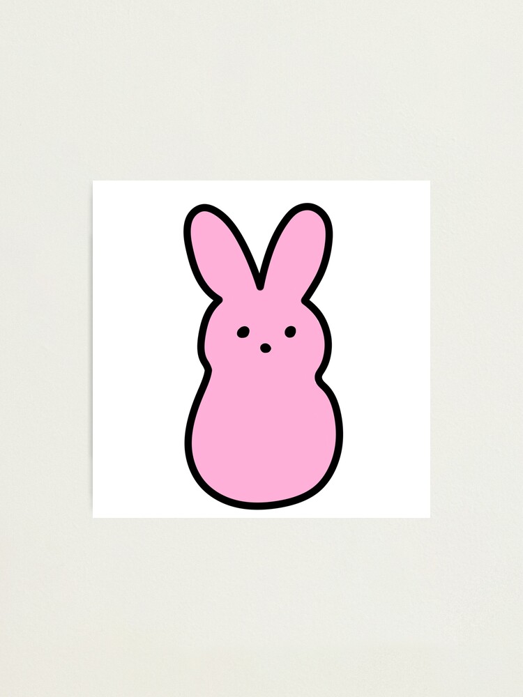 Peluche conejo rosa OB design