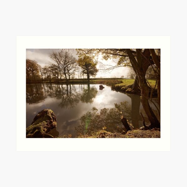 Surreal pond Art Print