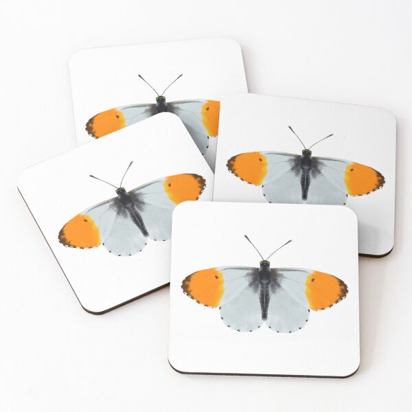 Item preview, White Orange Tip Butterfly designed and sold by KirstyNadineArt.