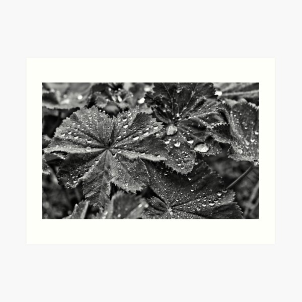 Water beads Art Print