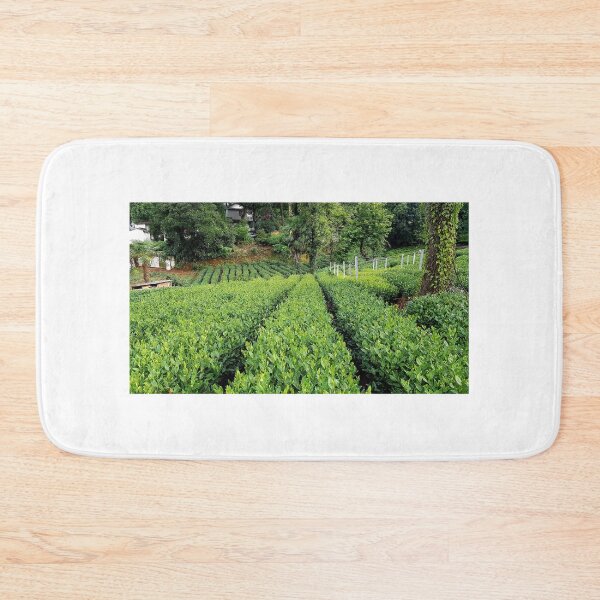 Item preview, Tea plantation in Hangzhou, China  designed and sold by Yellowsprint.