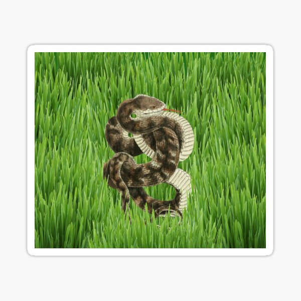 Item preview, Snake in The Grass! No Really! designed and sold by Billgreen54.