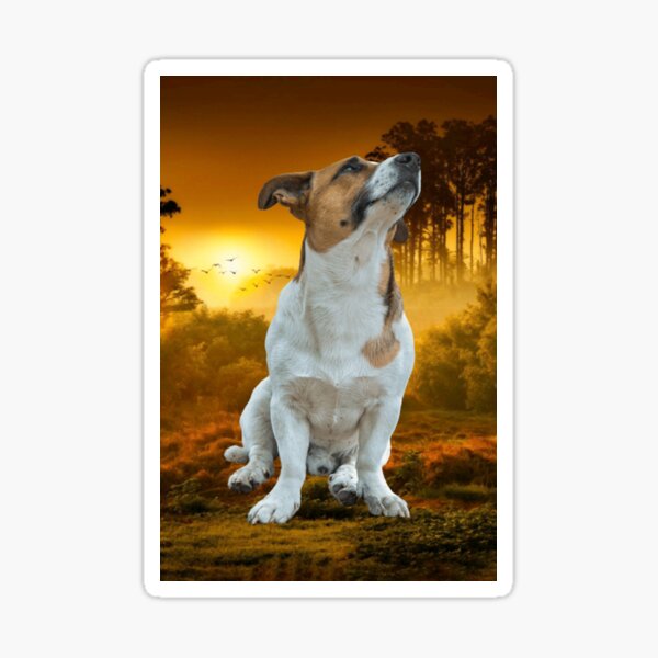 Jack Russell Terrier Owner Sticker
