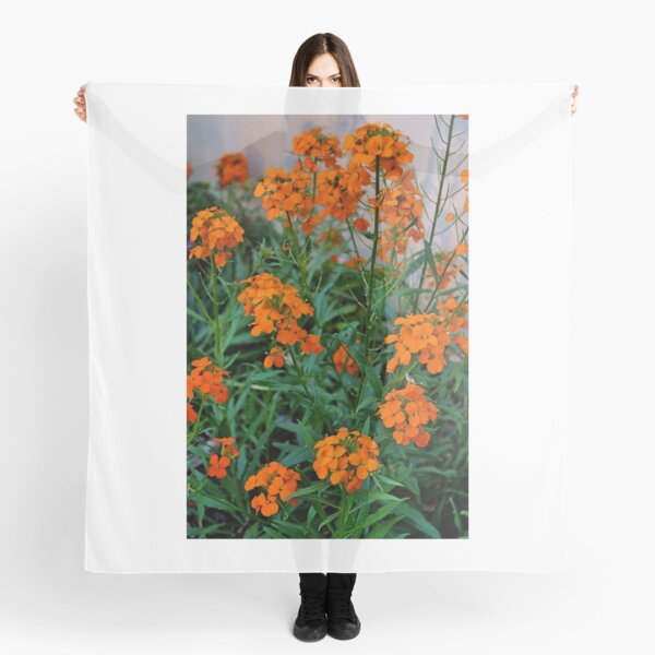 Item preview, Simplicity designed and sold by Rodney Williams.