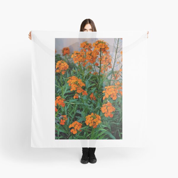 Item preview, Simplicity designed and sold by Rodney Williams.