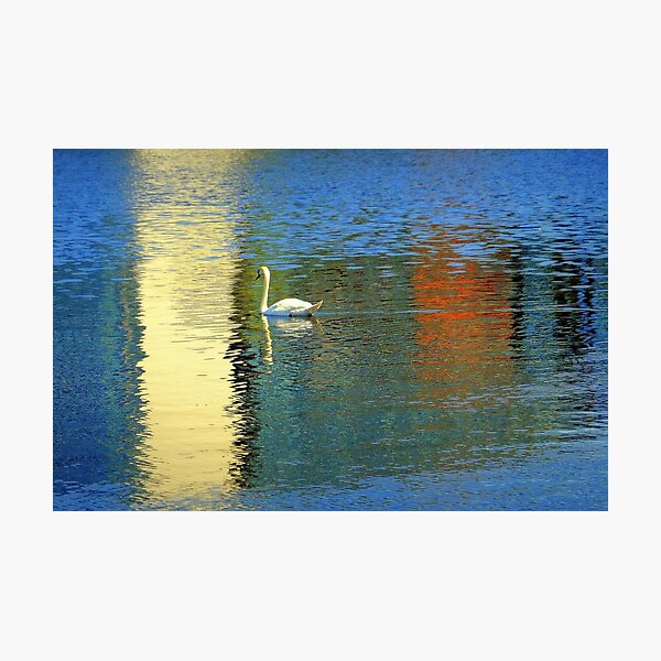 Ship Canal glider Photographic Print