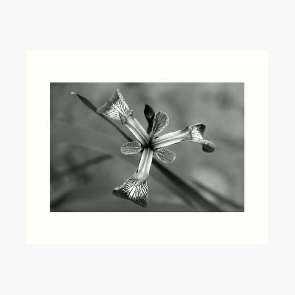 Item preview, Tripod designed and sold by ASTRID EWING.