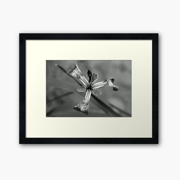 Item preview, Tripod designed and sold by ASTRID EWING.