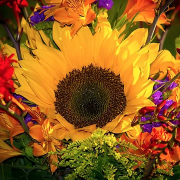Vorschaubild zum Design Flower Explosion von RandyHume