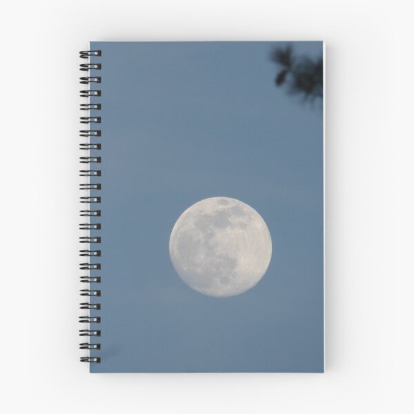 Aperçu de l'œuvre Pleine lune créée et vendue par Samantha Giordano.