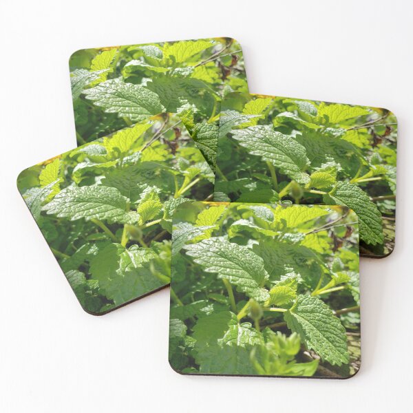 Item preview, Lemon Balm Herb designed and sold by GrudleBay.