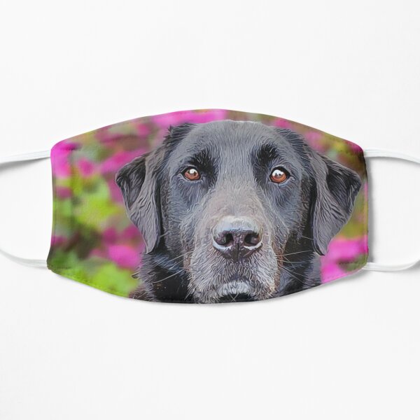 SWEET BEAR Flat Mask