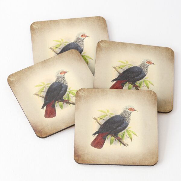 Item preview, Spiked Dove Colombe Herissee Vintage Sketch Art of a Bird designed and sold by Uppercase Tees.