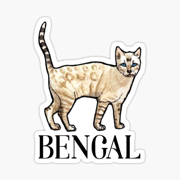 Bengal Cat Snow lynx Sticker