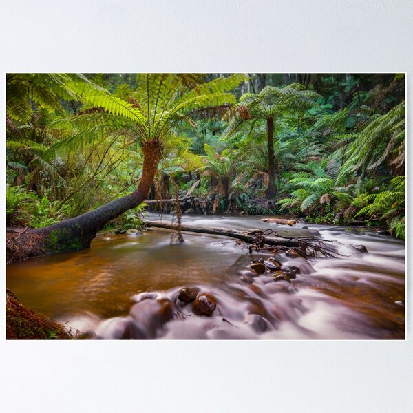 Item preview, Upper Yarra River, Warburton designed and sold by Scott Harty.