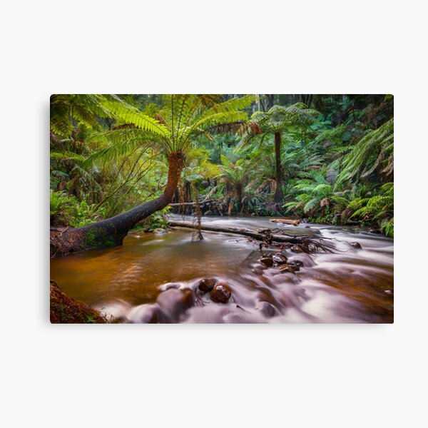 Item preview, Upper Yarra River, Warburton designed and sold by Scott Harty.