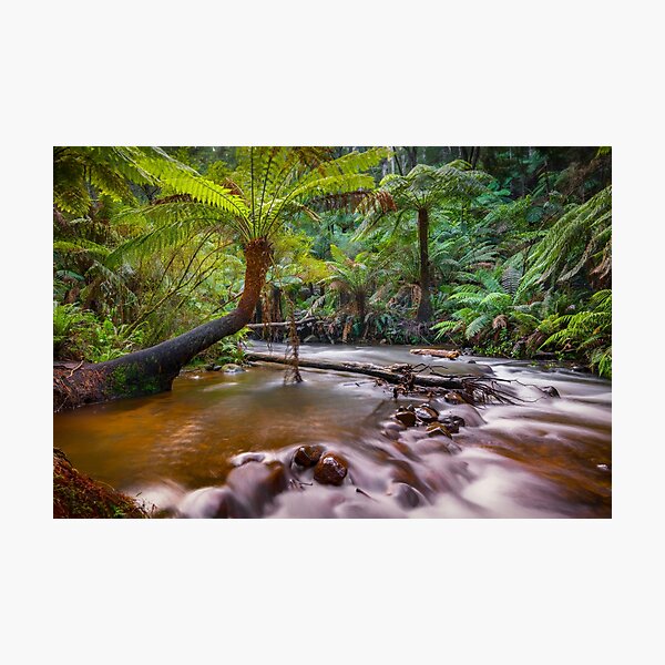 Item preview, Upper Yarra River, Warburton designed and sold by Scott Harty.