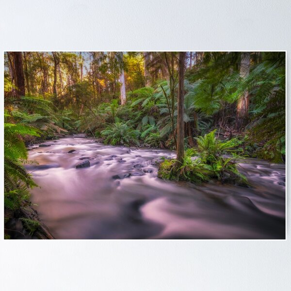 Item preview, Upper Yarra River, Warburton designed and sold by Scott Harty.