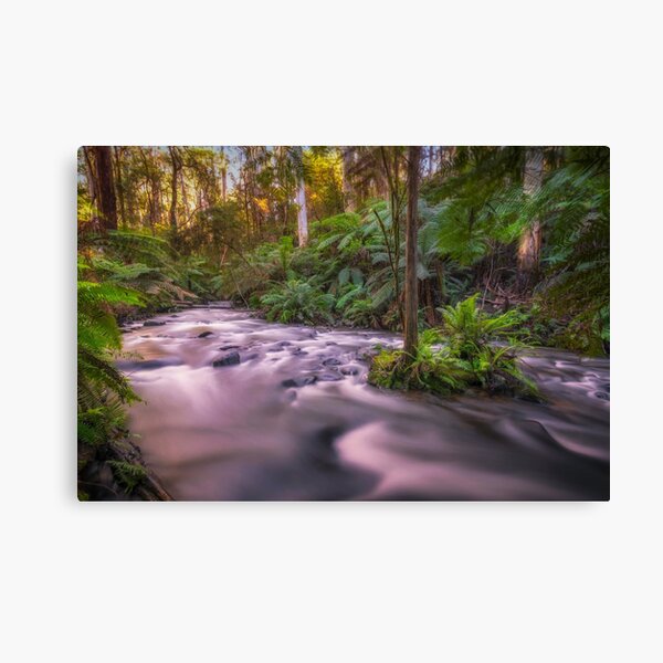 Item preview, Upper Yarra River, Warburton designed and sold by Scott Harty.
